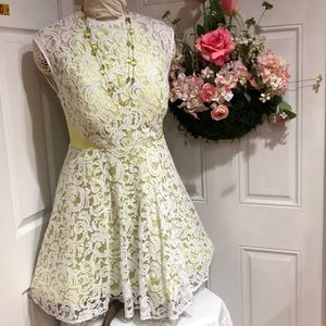 NWT COAST BACKLESS SUMMER DRESS SIZE 16